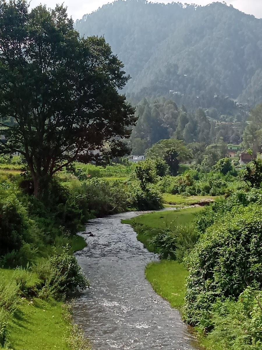 Binsar Valley Holiday Home – photo 2