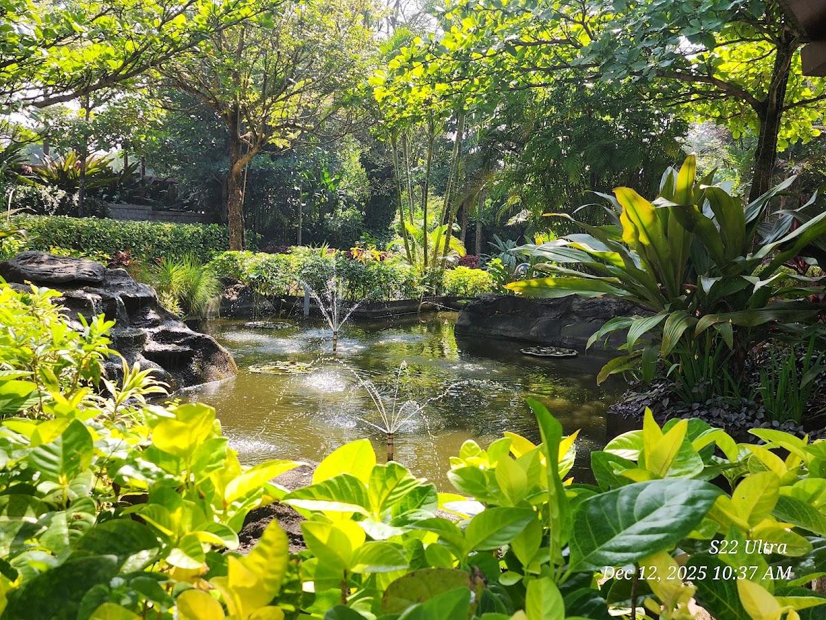 Purple Palms Resort & Spa – photo 2
