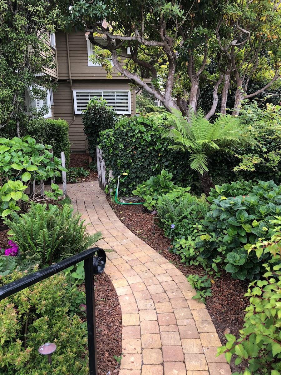 Carmel Cottage Inn – photo 2