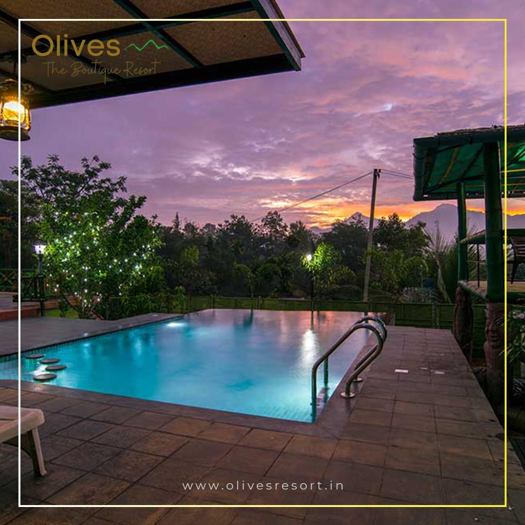 Olives Home Stay and Resort – photo 3