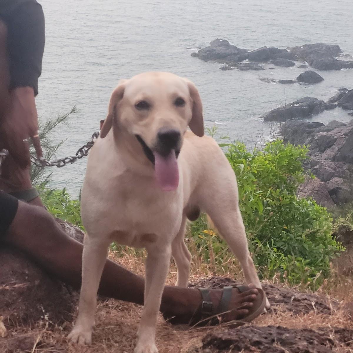Aaroha Hill Top – photo 1