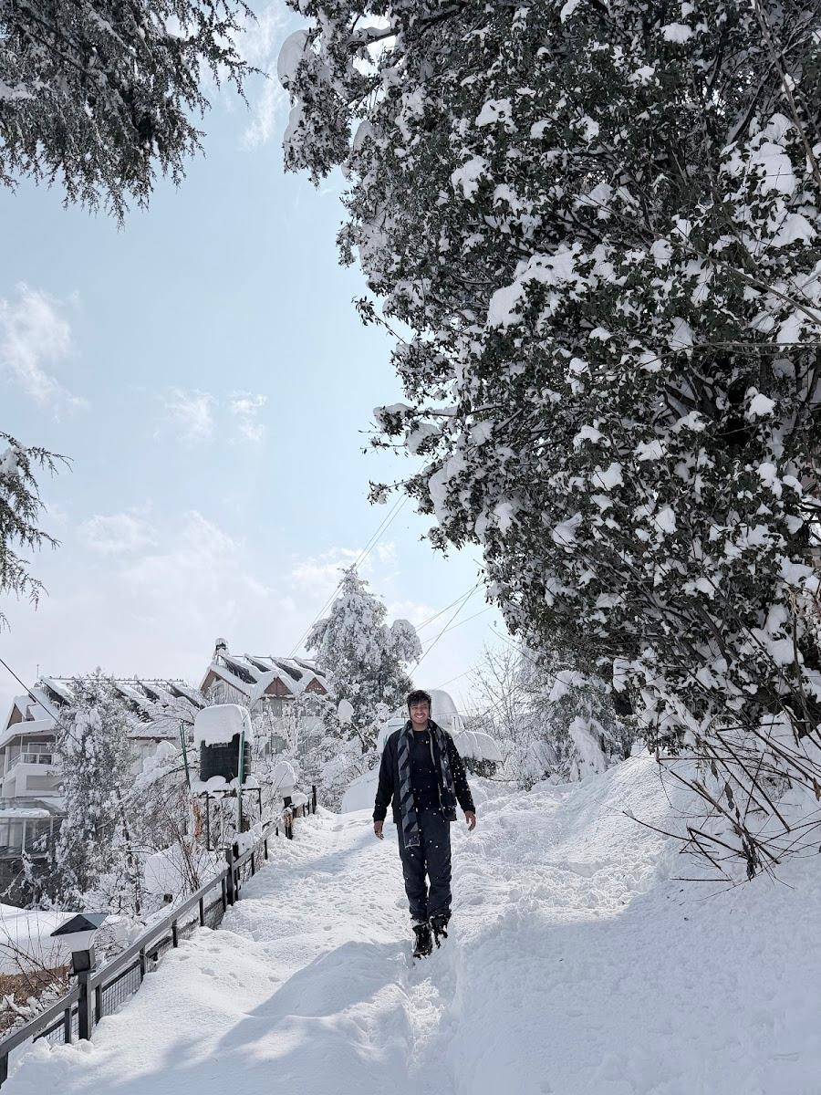 Dormigo Manali – photo 3