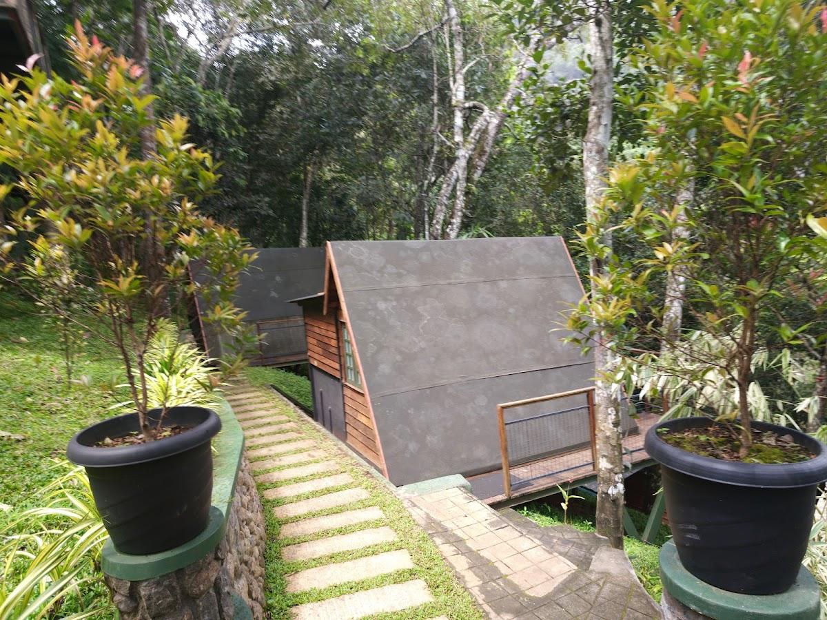 Funky Bunks Munnar Cottage Stay