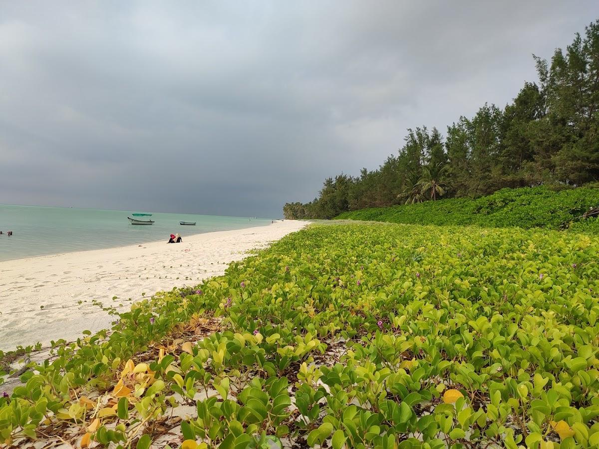 Kadmat Island Beach Resort – photo 2