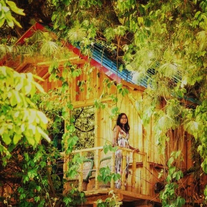 Jibhi Green Tree House – photo 3