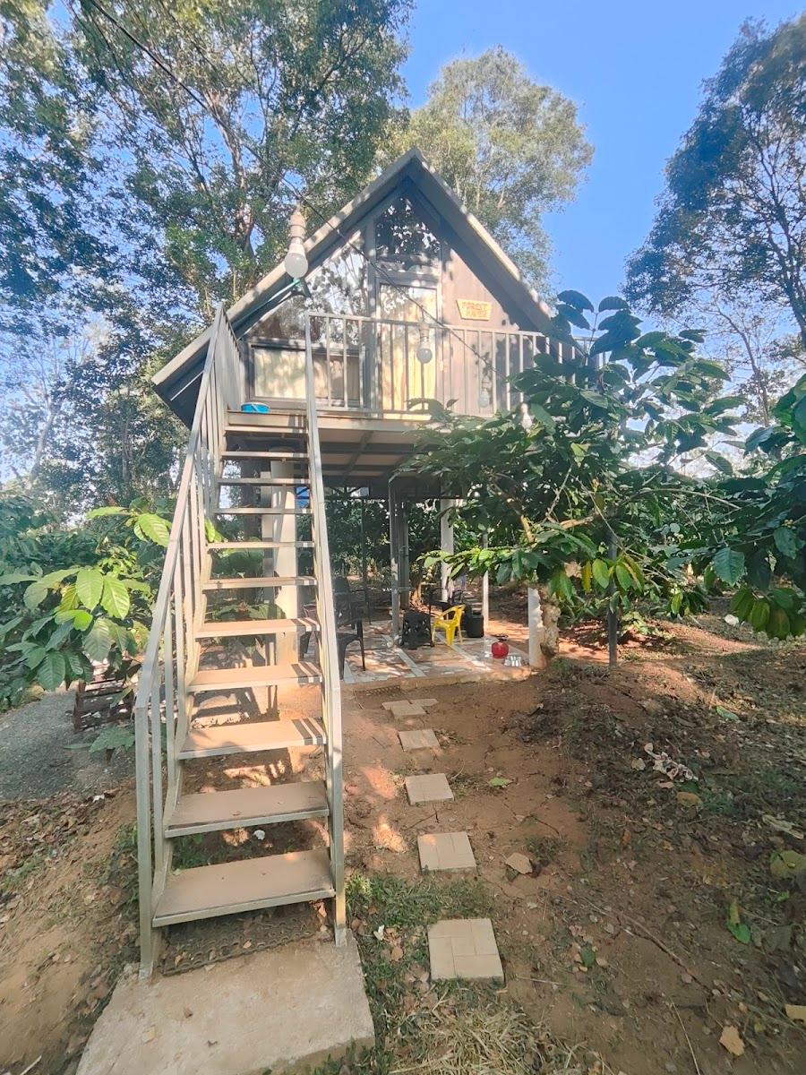 Forest Brew Resort Kuruva Wayanad – photo 4