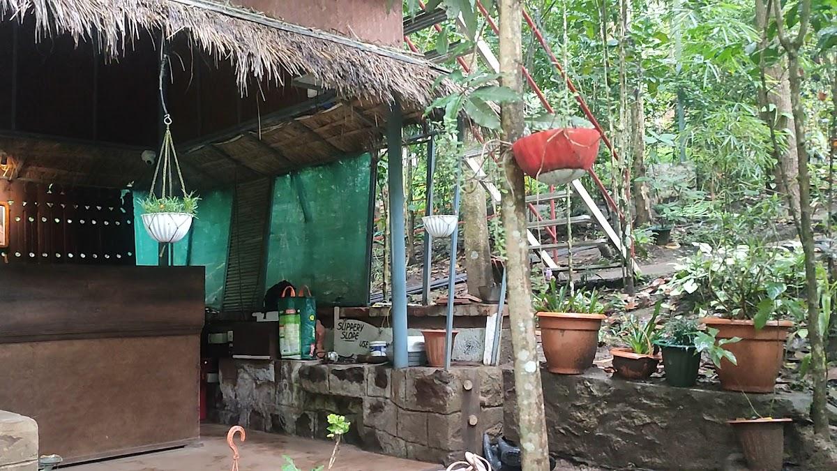 Snow Hills Nature Resort, Thekkady – photo 4