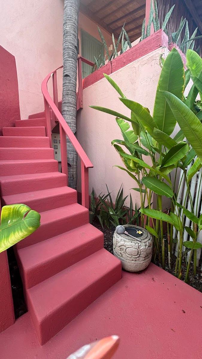 PinkCoco Gili Air - Constant Surprises & for Cool Adults Only – photo 4