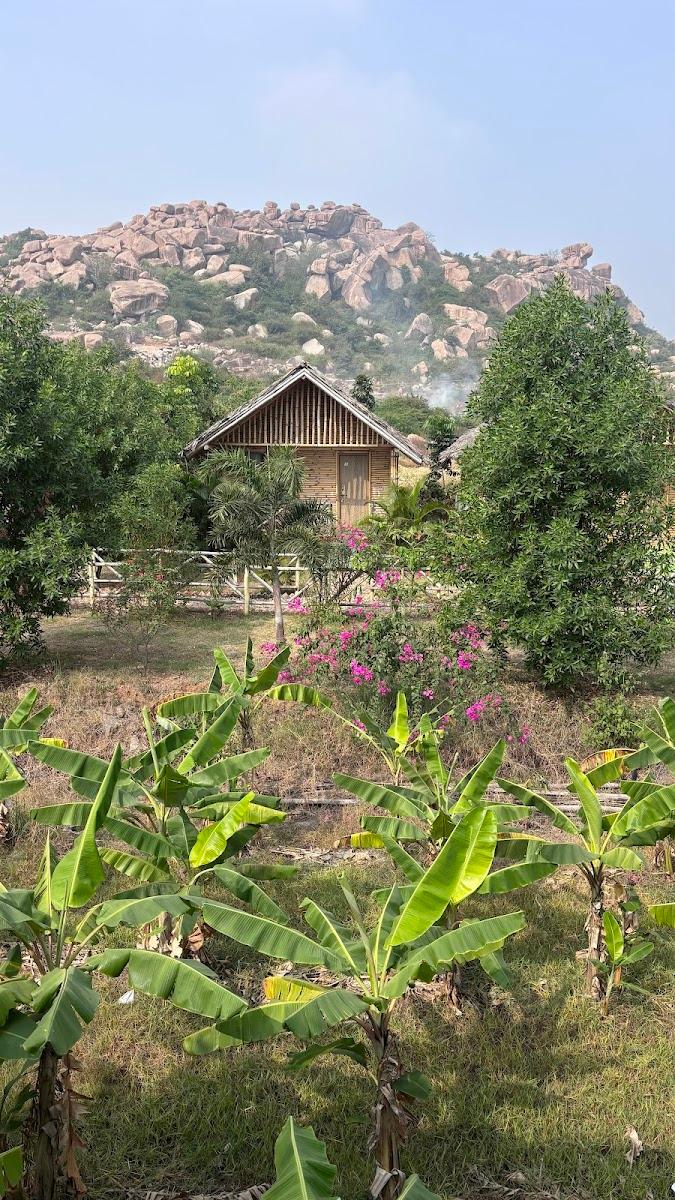 Mowgli's Cafe Hampi & Guest house – photo 3