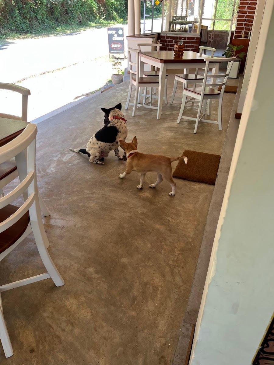 Pepper Hills Hostel & Cottages – photo 3