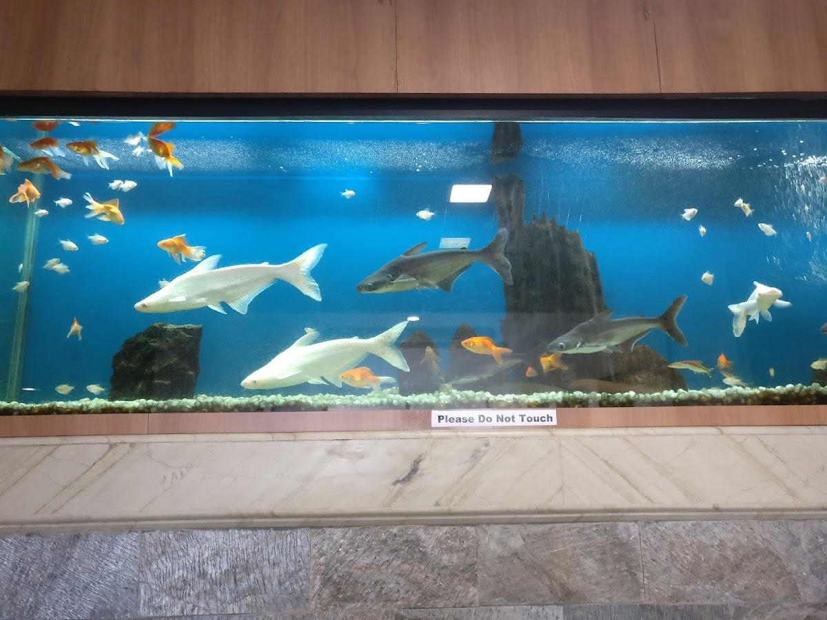 Hotel Pooram International – photo 3
