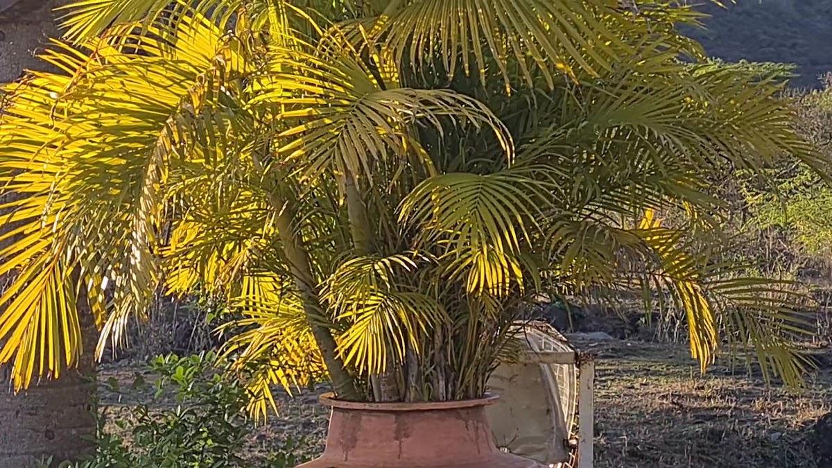 Shikarbadi Hotel – photo 4