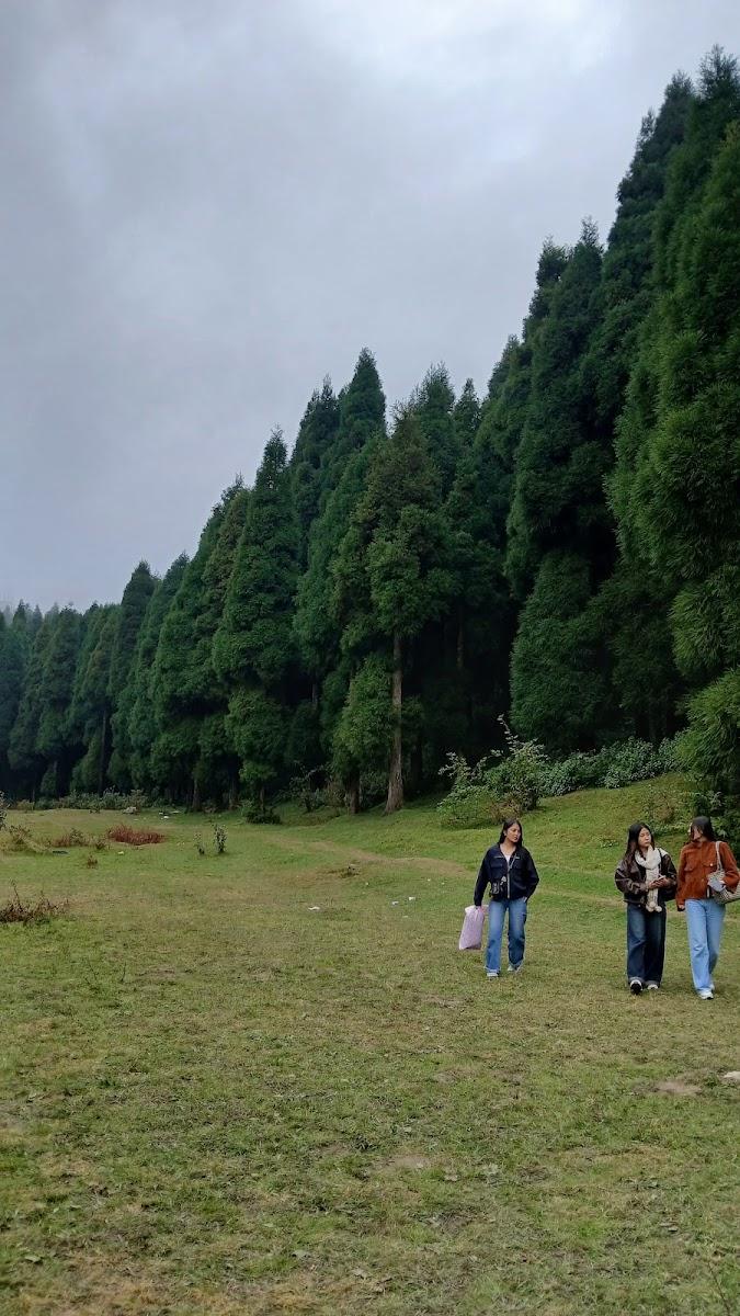 Majhidhura sukhia pokhari darjeeling – photo 4