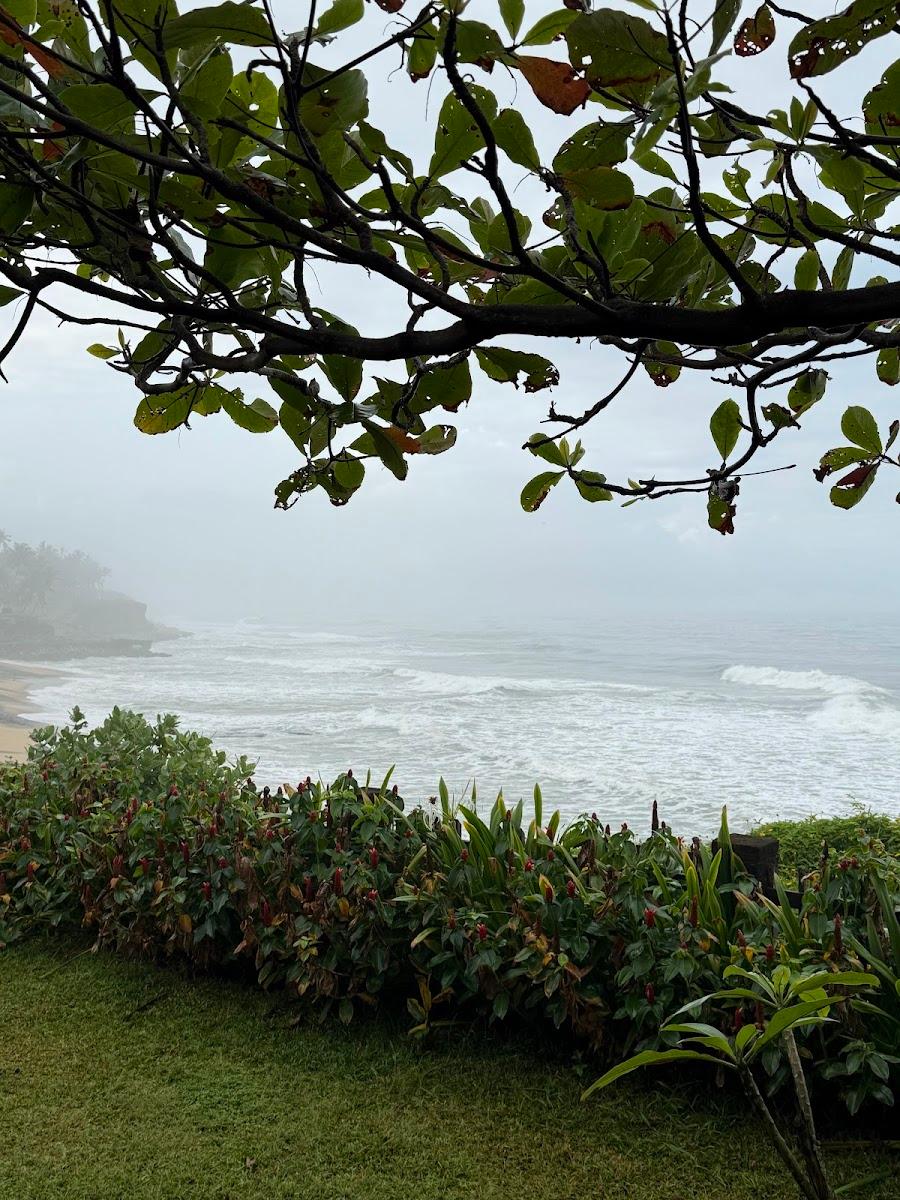 Privasea – photo 3