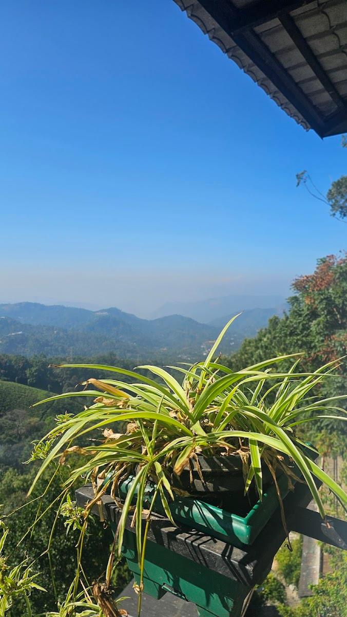 Parakkat Nature Hotel & Resorts – photo 2