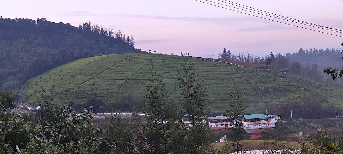 Shabeer's Garden View Resort – photo 2