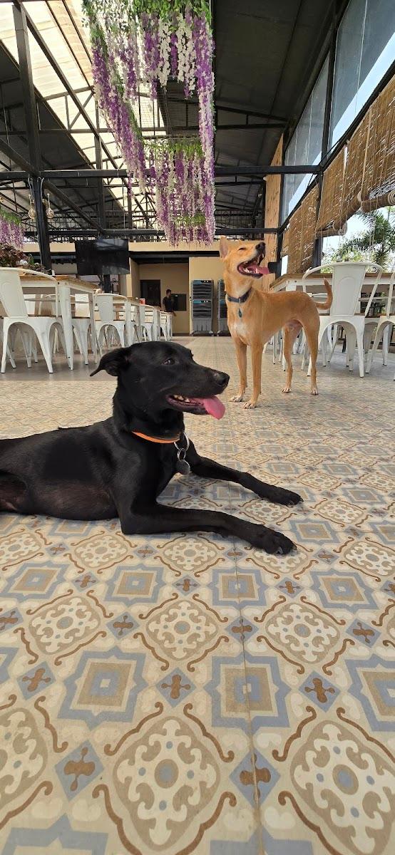 Therpup Cafe & Resort, Sarjapur – photo 2