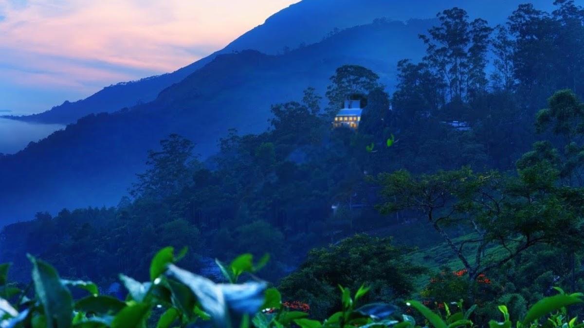 CJ Villa Cottage - Devikulam Tea Estate (CJ Hotels & Resorts) – photo 3