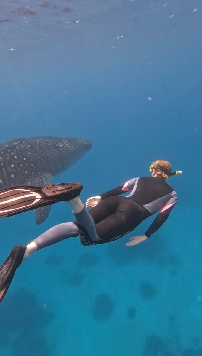 Peters Dive Resort