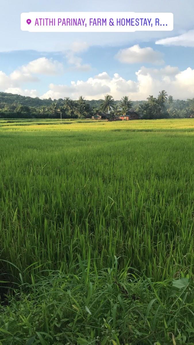 Atithi Parinay Exclusive Boutique Homestay, on a farm, Near Aare-Ware Beach – photo 3