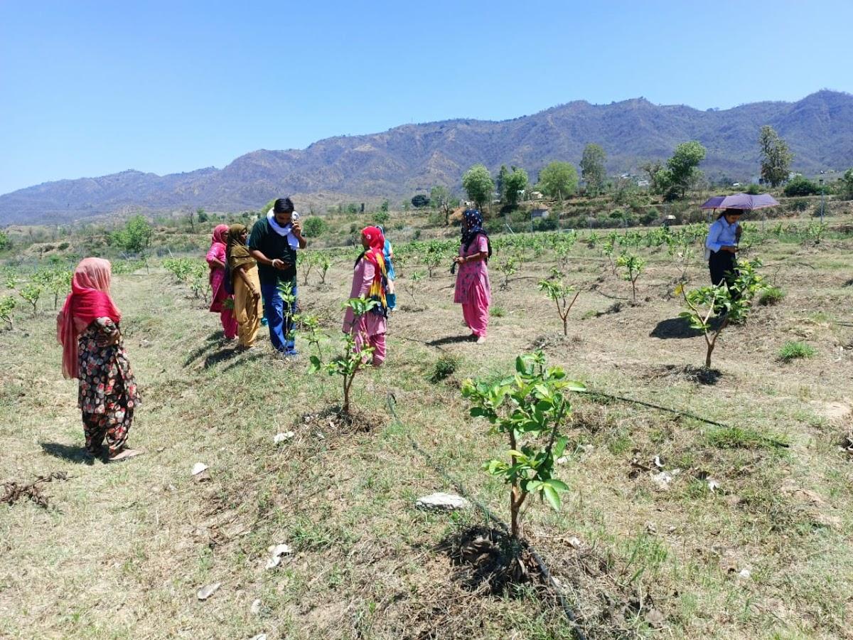 Handola - हण्डोला – photo 2
