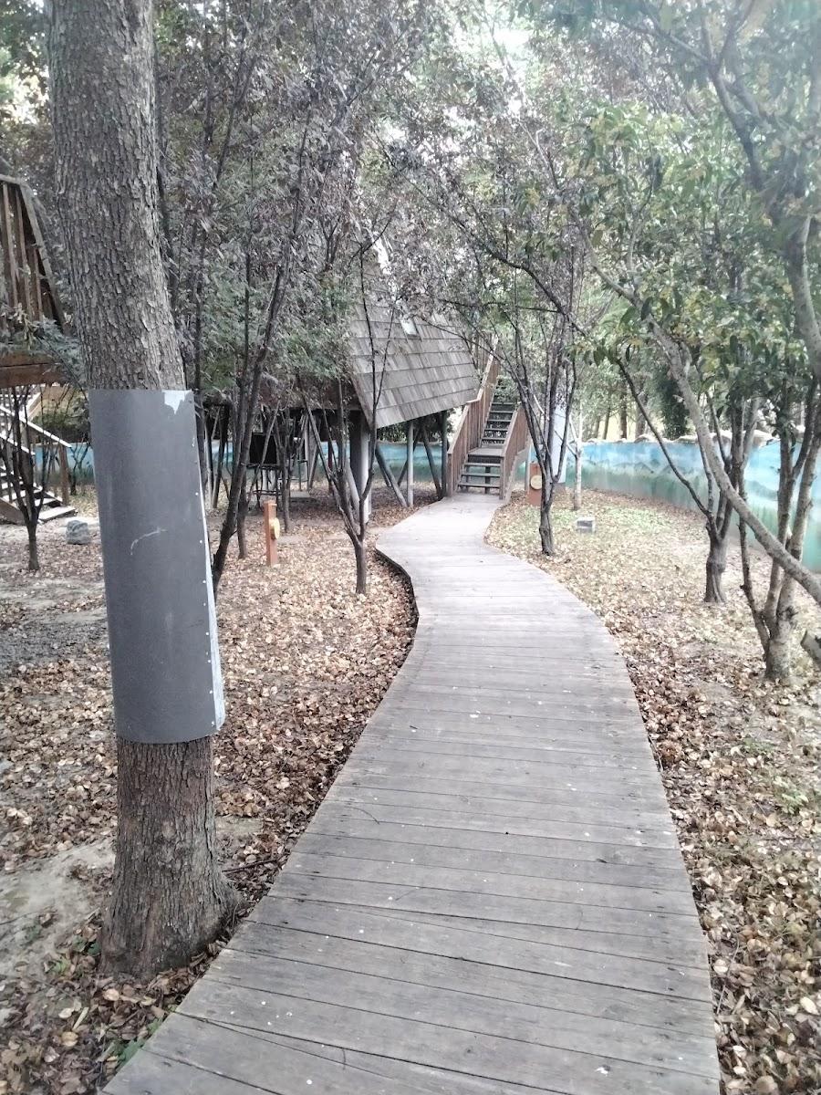 Nantong Sendi Tribe Treehouse Hotel – photo 2