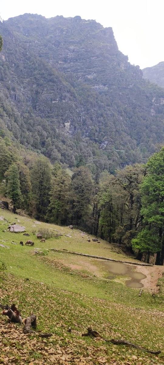 Chopta Rock Hill Camp – photo 3