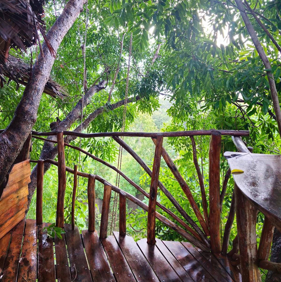 The Khaya Nest – photo 3