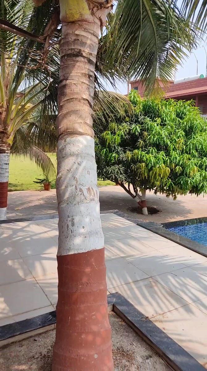 Beach Village Resort – photo 4