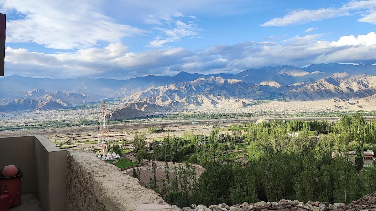 Stok Palace Heritage – photo 2