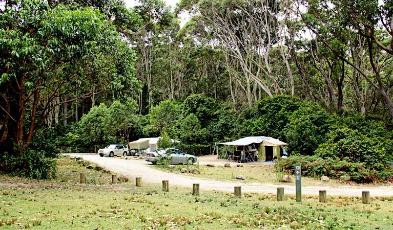 Pebbly Beach Campground – photo 1