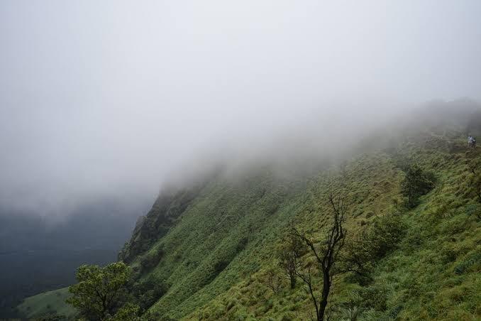 Coorg Hills Plantations – photo 1