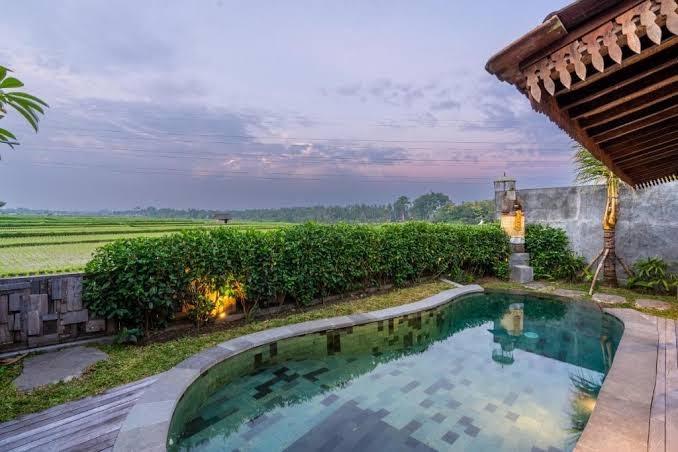 Kayu Senses - Private Villas around Endless Ricefield - Villa with Private Pool – photo 1