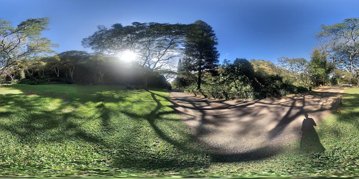 Toa Luau – photo 1