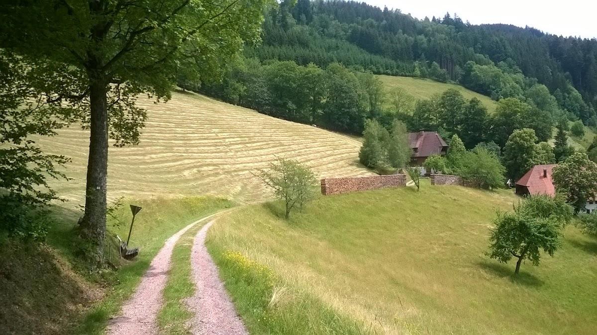 Gibbesbachhof – photo 2