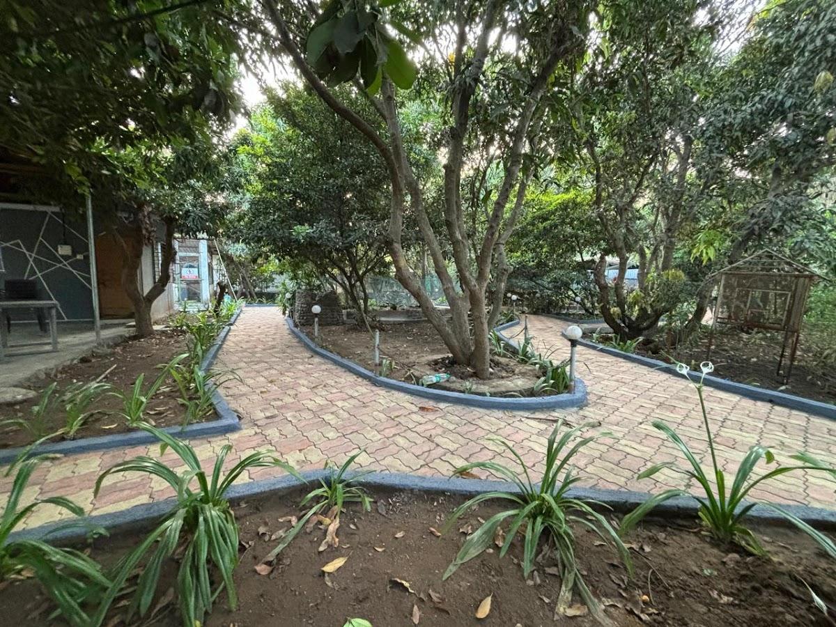 Coral cottage farmhouse – photo 4