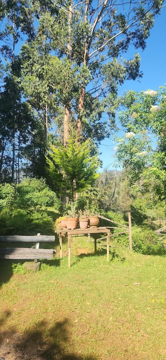Blue Moon Huts – photo 4