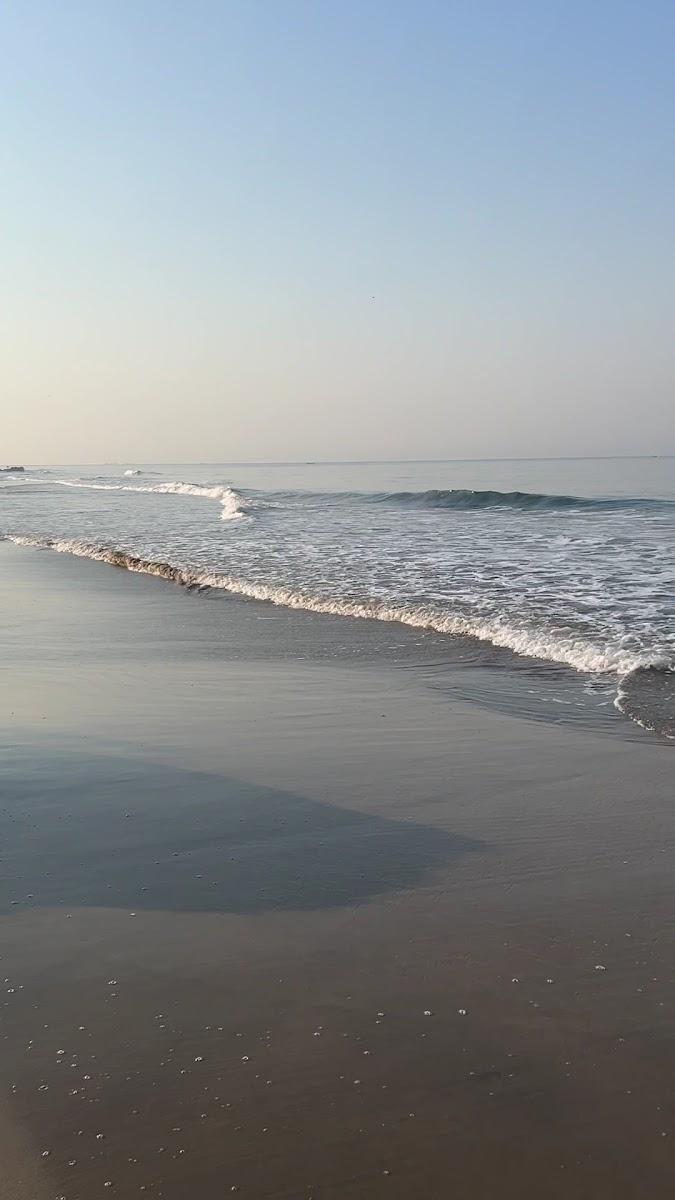 DALLAS BEACH RESORTS ASHVEM BEACH NORTH GOA – photo 2