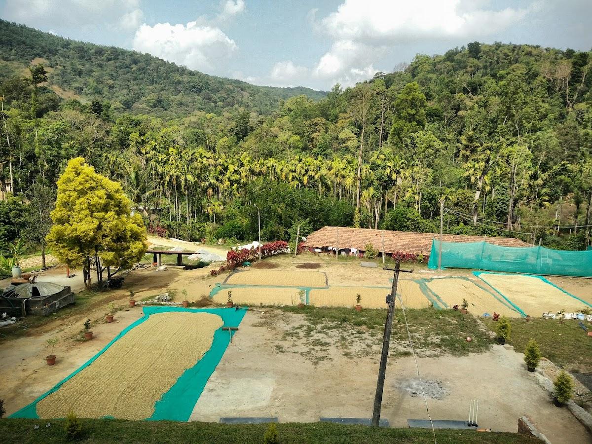 Moodalamane Homestay – photo 1