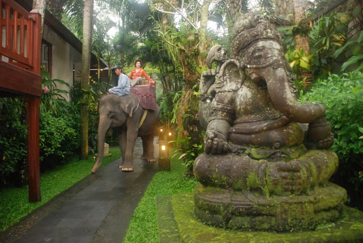Mason Elephant Park & Lodge – photo 4