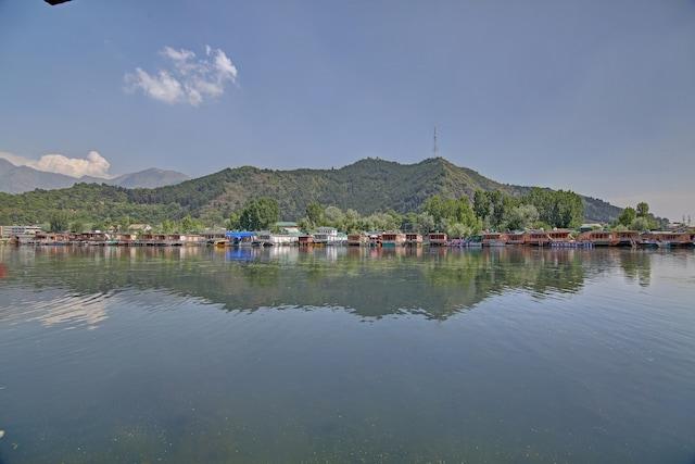 OYO Miss America Group Of Houseboats – photo 2