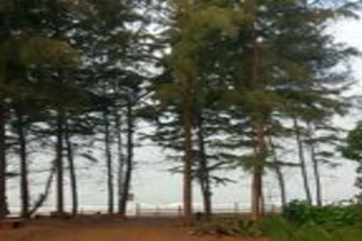 SUMA BEACH RESORT – photo 4
