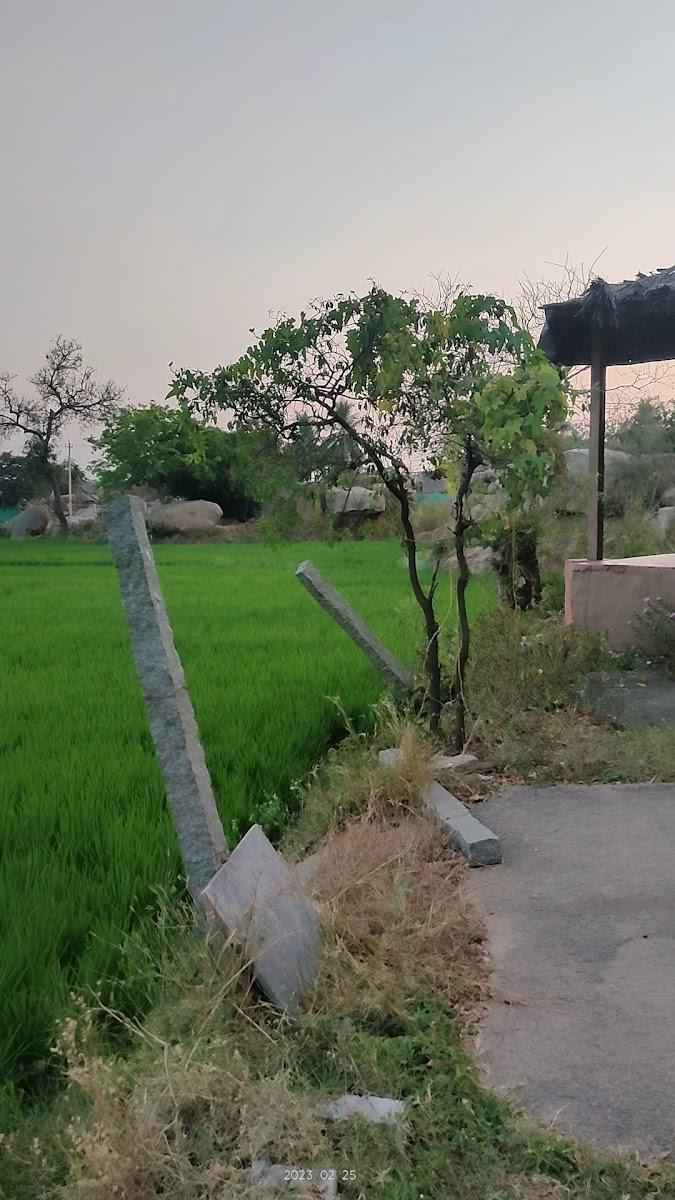 Gowri Nature Stay – photo 4