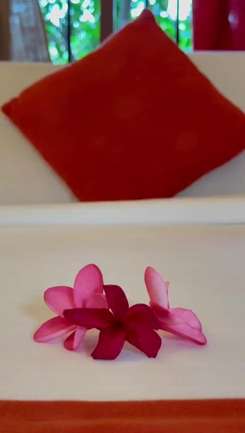 Santa Maria - A Premium Boutique Homestay by the Sea I Trivandrum Airport 1Mile – photo 4