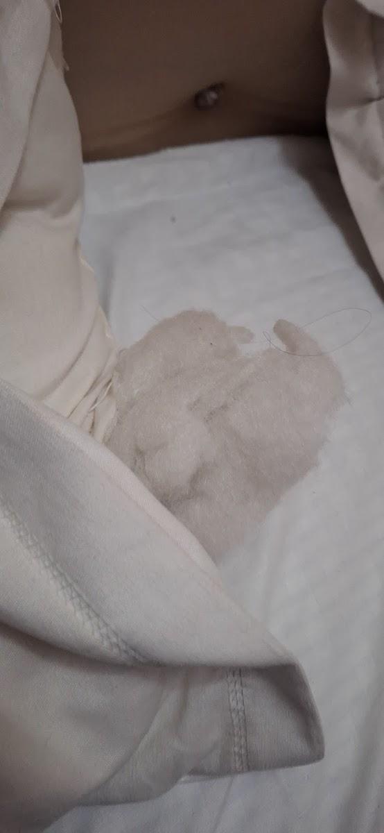 Hotel Pine Grove – photo 2