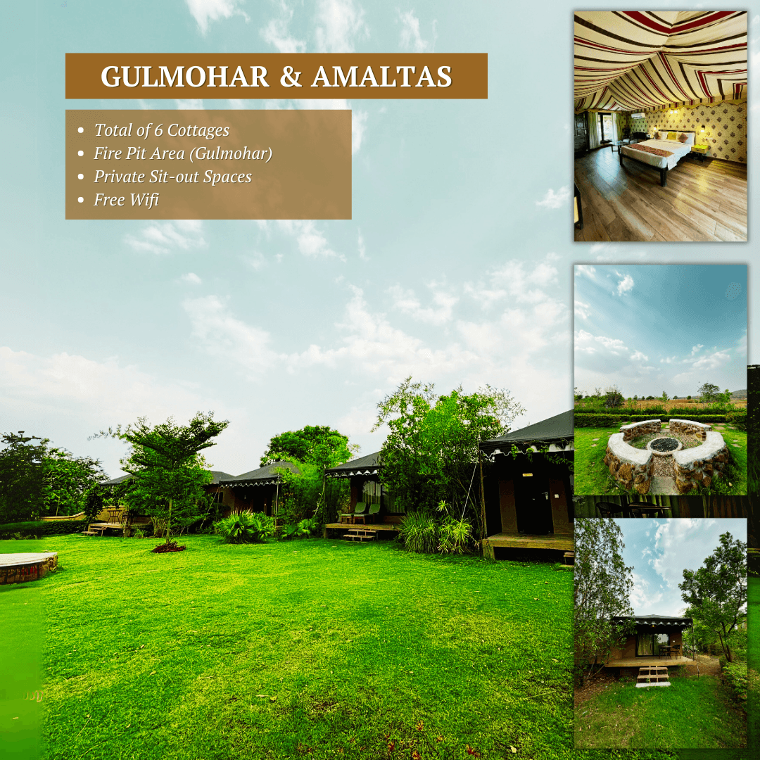 NEERTARU RESORT AND WELLNESS – photo 4