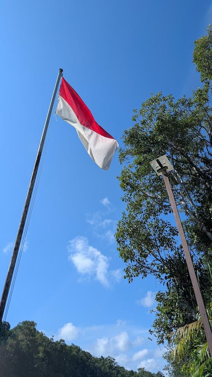 Rimba Orangutan Ecolodge – photo 2