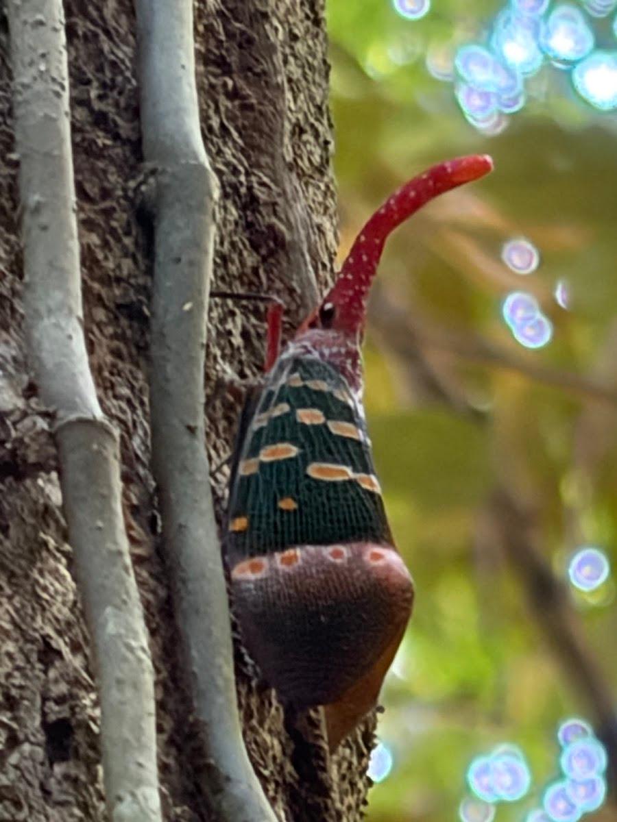 Our Jungle House – photo 2