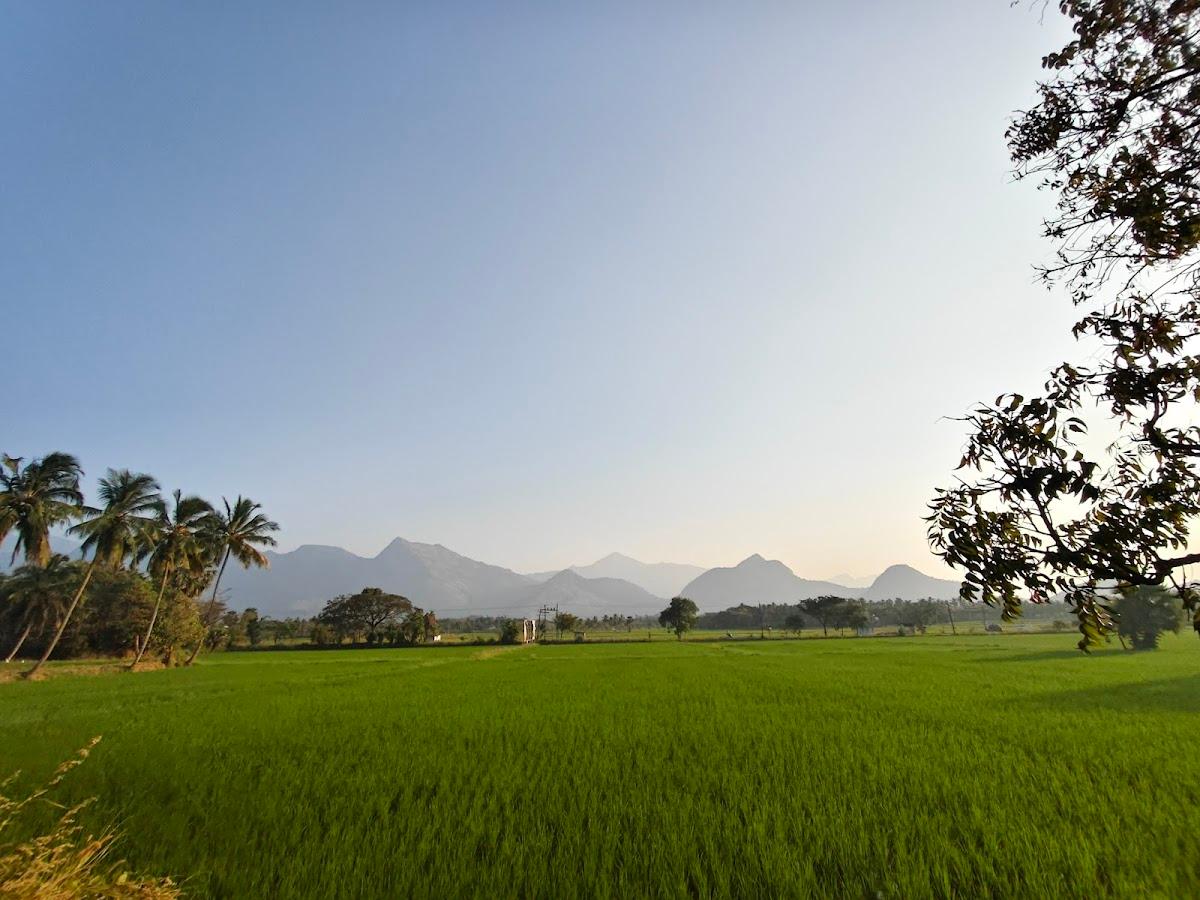 Kalam by clayfields – photo 4