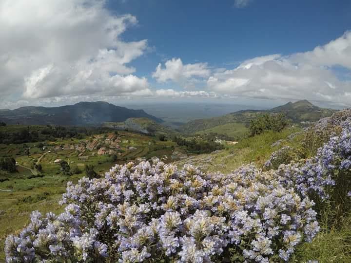 kalhatty ghat ooty – photo 1